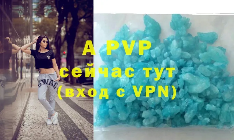 Alfa_PVP СК КРИС  Зубцов 