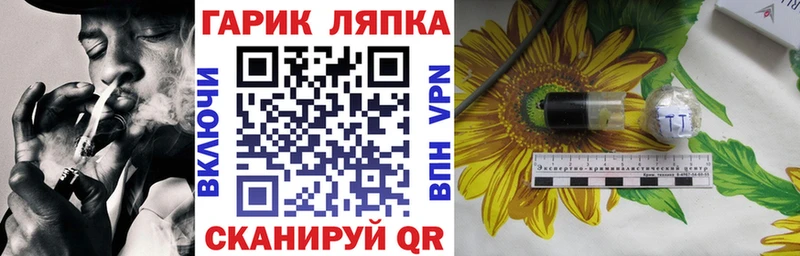 ГАШ гарик Зубцов