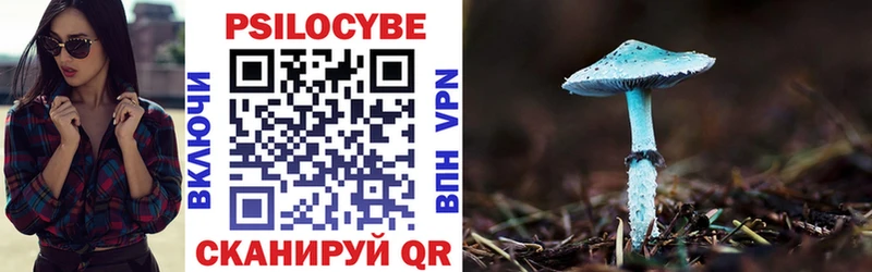 купить наркотики цена  Зубцов  Псилоцибиновые грибы Magic Shrooms 